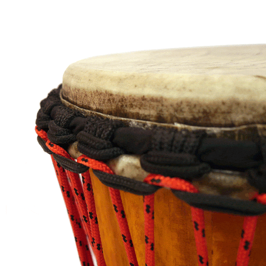 Dancing Drum Pro-Series Djembe - Rim Detail